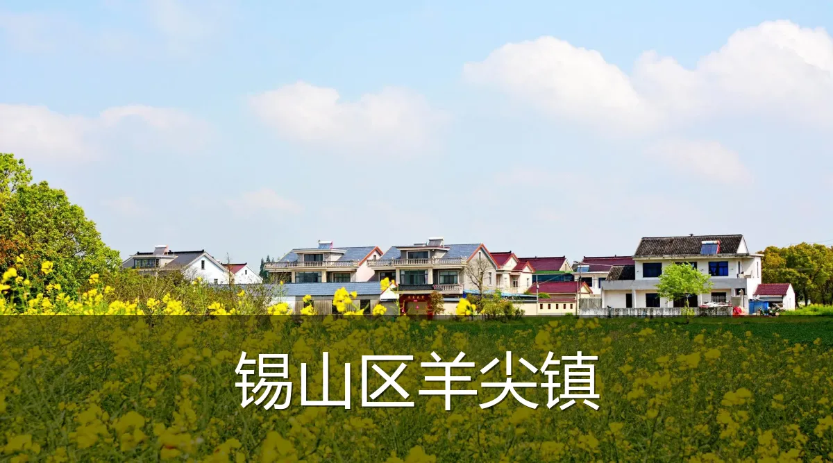 锡山区羊尖镇